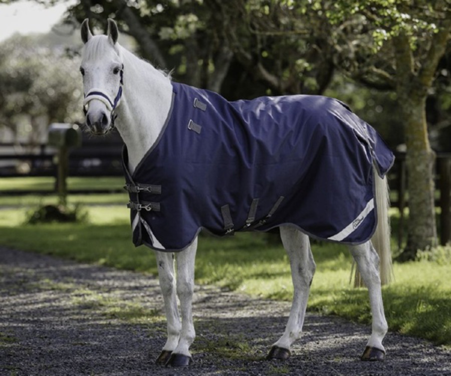 Cavallino Gen 4 Detach A Neck - 100gm image 3